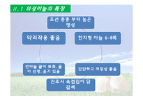 [국제경쟁력] 의성 마늘의 경쟁력 재고방안-11