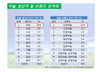 [국제경쟁력] 의성 마늘의 경쟁력 재고방안-12