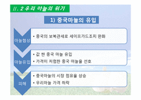 [국제경쟁력] 의성 마늘의 경쟁력 재고방안-13