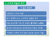 [국제경쟁력] 의성 마늘의 경쟁력 재고방안-15