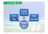 [국제경쟁력] 의성 마늘의 경쟁력 재고방안-18