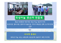 [국제경쟁력] 의성 마늘의 경쟁력 재고방안-20