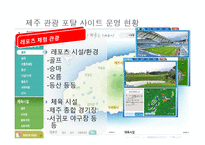 [경영정보] 관광과 IT의 융합 현황과 시사점-17