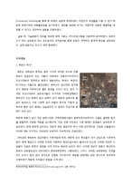 [관광지리학] 북촌 한옥마을에 대한 관광객 만족도 조사-일본인 관광객을 대상으로-6
