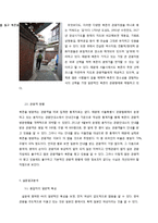 [관광지리학] 북촌 한옥마을에 대한 관광객 만족도 조사-일본인 관광객을 대상으로-9