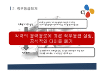 [경영학] CJ 성과주의 인사제도-13