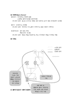 [사회복지 실천론] 조손가정 대학생에 대한 사례 개입-4