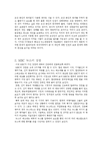 [미디어학] MBC 뉴스 분석을 통한 뉴스의 문제점-15