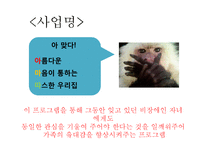 [사회복지] 장애인의 비장애형제자매를 위한 프로그램 개발-3