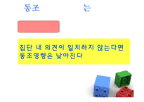 [사회심리학] 동조와 규범발달-16
