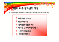 [사회복지] 다문화, 이주 청소년의 지원 정책과 현황-4