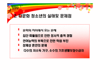 [사회복지] 다문화, 이주 청소년의 지원 정책과 현황-19
