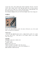 [한국근대사] 신간회의 역사와 의의-6