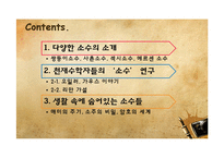 소수와 관련된 천재수학자들의 수학적 논쟁과 현대시대에서 소수의 이용-2