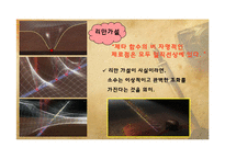 소수와 관련된 천재수학자들의 수학적 논쟁과 현대시대에서 소수의 이용-11