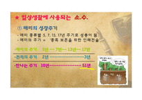 소수와 관련된 천재수학자들의 수학적 논쟁과 현대시대에서 소수의 이용-12