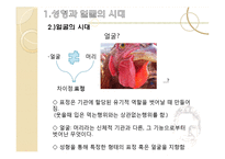 [사회학] 얼굴의 정치학, 근대 가족과 프라이버시의 탄생-4