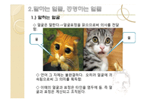 [사회학] 얼굴의 정치학, 근대 가족과 프라이버시의 탄생-5