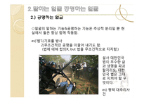 [사회학] 얼굴의 정치학, 근대 가족과 프라이버시의 탄생-9