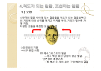 [사회학] 얼굴의 정치학, 근대 가족과 프라이버시의 탄생-18