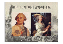 [서양사] 프랑스 대혁명기(1789~1799)의 혁명가-로베스피에르의 생애-11