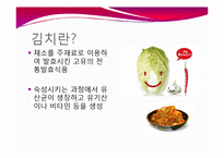 [식품생물학] 김치 발효과정, 김치의 발전가능성 분석-3