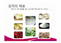 [식품생물학] 김치 발효과정, 김치의 발전가능성 분석-5