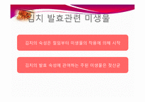 [식품생물학] 김치 발효과정, 김치의 발전가능성 분석-11