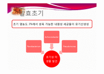 [식품생물학] 김치 발효과정, 김치의 발전가능성 분석-12