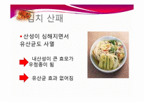 [식품생물학] 김치 발효과정, 김치의 발전가능성 분석-16
