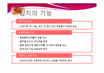 [식품생물학] 김치 발효과정, 김치의 발전가능성 분석-17