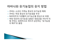 [비교교육론] 쿠바의 생태 및 환경교육을 통해 바라 본 한국의 환경교육-4