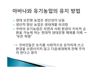 [비교교육론] 쿠바의 생태 및 환경교육을 통해 바라 본 한국의 환경교육-5