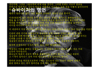 애타주의와 슈바이처-5