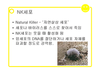 웃음의 힘, 긍정효과 조사-6