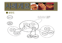 탈북가정 청소년 비행 실제 사례 개입 파워포인트 ppt 보고서-4
