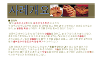 탈북가정 청소년 비행 실제 사례 개입 파워포인트 ppt 보고서-6
