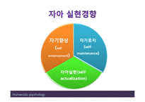 (인행사) 로저스와 Maslow의 인본주의 이론과 사례관리 파워포인트 PPT 보고서-16