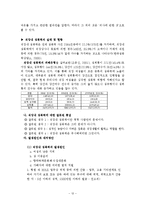 (사회문제론) 성폭력 문제와 사회복지적 전략 보고서-12
