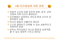 일반체계이론 레포트-17