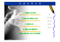 장애와 노인복지 정책 서비스(장애노인과 생애주기 접근) ppt 프리젠테이션-2