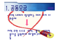 (지역사회복지론) 사회복지 공동모금회 문제점 및 개선방향 PPT 프레젠테이션-3