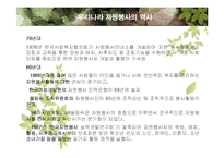 자원봉사 활동의 문제점과 자원봉사 활성화 방안 PPT-13