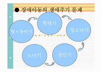 장애아동과 장애가족 생애주기별 관심사와 복지서비스, 외국의 장애아동복지-7