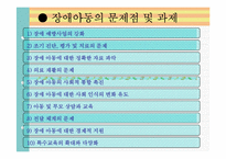 장애아동과 장애가족 생애주기별 관심사와 복지서비스, 외국의 장애아동복지-10