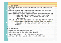 장애아동과 장애가족 생애주기별 관심사와 복지서비스, 외국의 장애아동복지-14