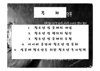 청소년 성문제, 사이버 인터넷과 청소년 성문화, 복지대안 파워포인트 PPT 프리젠테이션-2