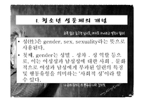 청소년 성문제, 사이버 인터넷과 청소년 성문화, 복지대안 파워포인트 PPT 프리젠테이션-3