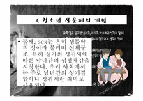 청소년 성문제, 사이버 인터넷과 청소년 성문화, 복지대안 파워포인트 PPT 프리젠테이션-4