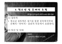 청소년 성문제, 사이버 인터넷과 청소년 성문화, 복지대안 파워포인트 PPT 프리젠테이션-8